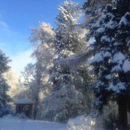 The Beeches Studio, Highlands Of Scotland Newtonmore Dış mekan fotoğraf