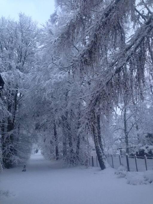The Beeches Studio, Highlands Of Scotland Newtonmore Dış mekan fotoğraf