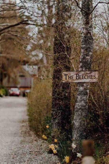 The Beeches Studio, Highlands Of Scotland Newtonmore Dış mekan fotoğraf
